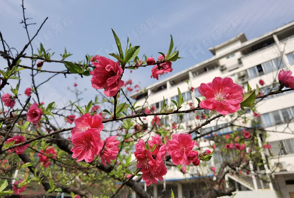 桂林鴻程花團(tuán)錦簇，滿園春色，邀您一起共賞春景，共商大計(jì)！